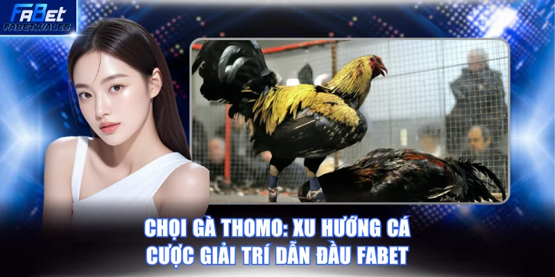 Chọi gà Thomo